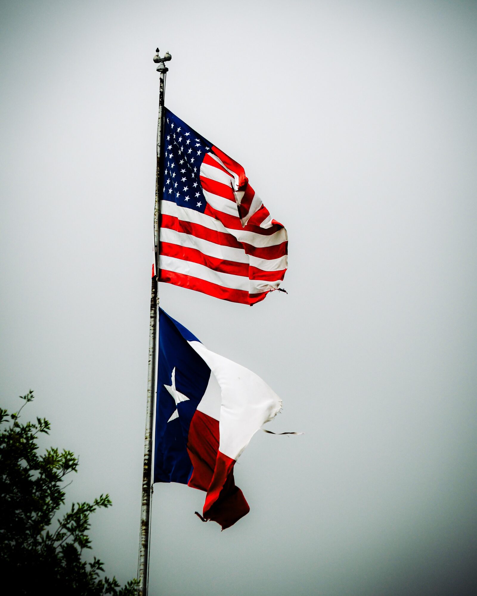 American and Texan flags flying together